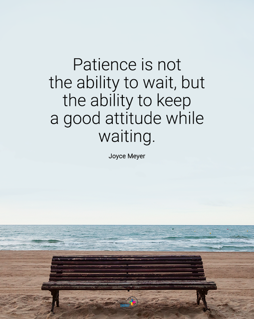 TrainingMindful's tweet photo. #patience https://t.co/TPBLBo6NZy