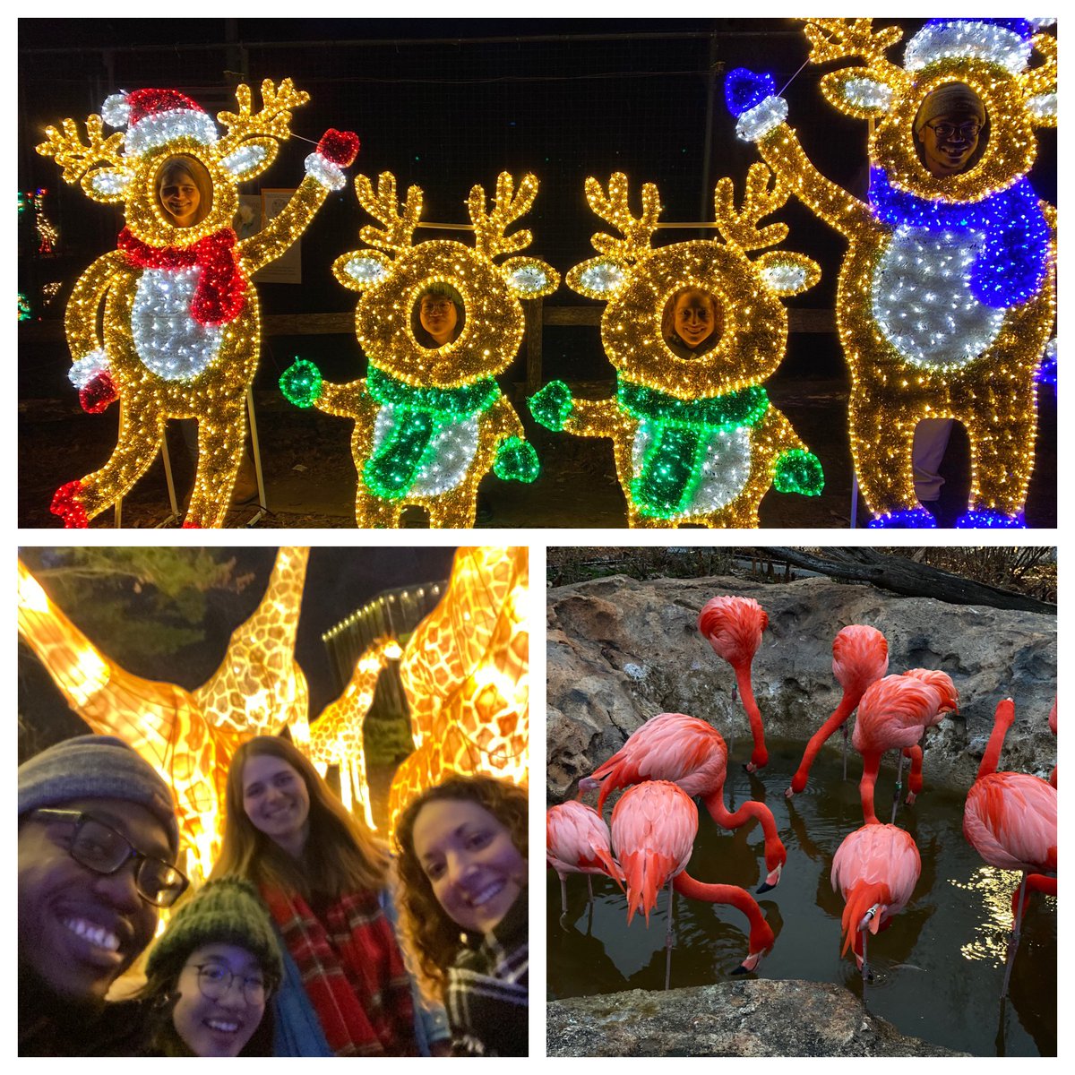 Lab holiday party, but make it covid friendly…