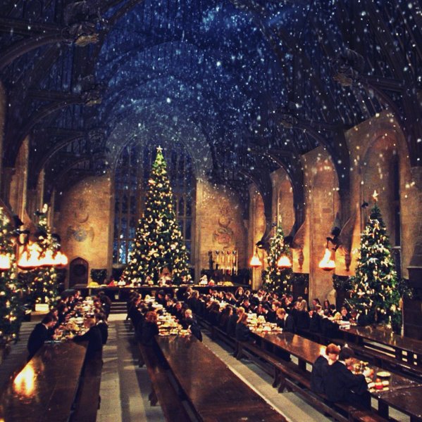 Hogwartssite's tweet photo. La Navidad que todos quisiéramos tener. https://t.co/3lkJ4G6Wk6