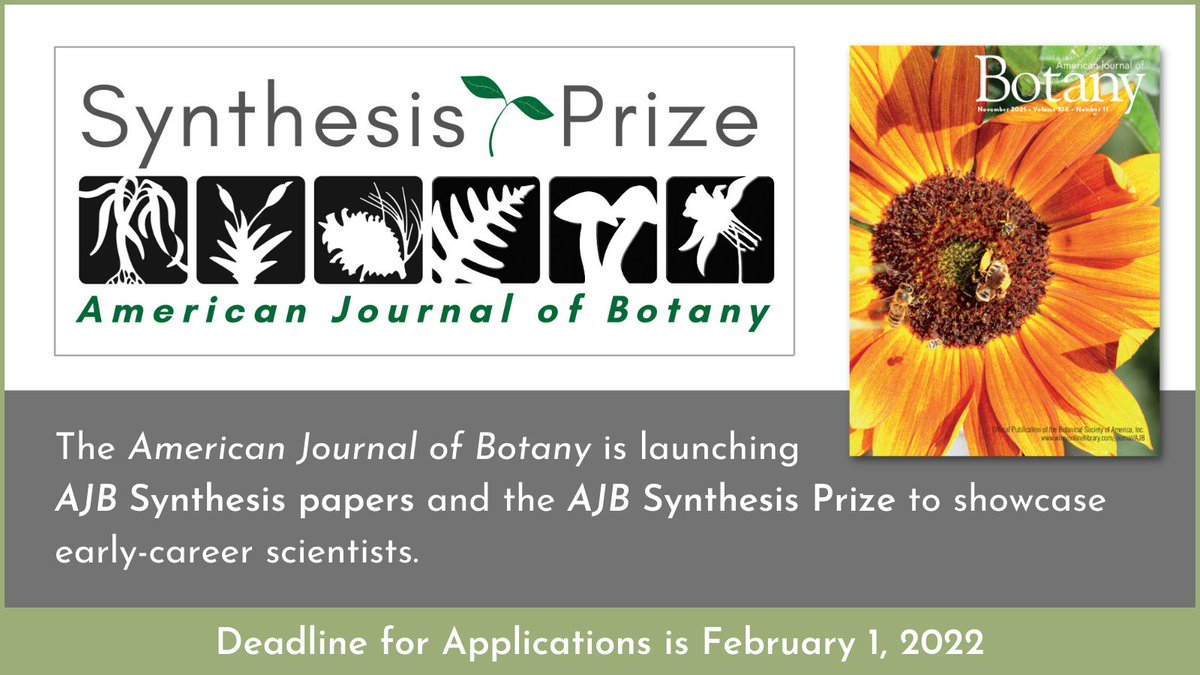 Calling All Early-Career Scientists: New #AJB Synthesis Papers &amp; Prize! 

AJB is launching a new Synthesis section to showcase invited contributions by early-career scientists. Deadline: Feb. 1 2022. More info at botany.org/home/awards/aw…! #botany #iamabotanist @WileyPlantSci
