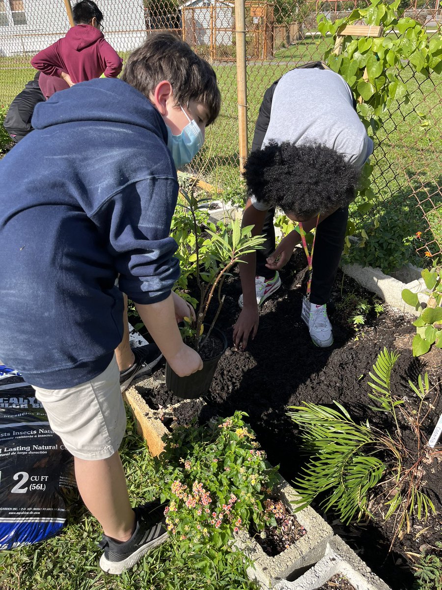 Did I show you this? A laborious,  intensive, Jingle Bells kinda day in the Attucks garden.🎄💪🏾🎁🎶 <a href="/AttucksMS/">Attucks Middle</a> <a href="/HortUrban/">UF/IFAS Urban Hort Broward</a> <a href="/GlobalCitiesOrg/">Global Cities, Inc.</a> <a href="/browardschools/">Broward County Public Schools</a> <a href="/spencerjballard/">lepidoptera 🦋</a> <a href="/CassandraAdder2/">Cassandra Adderley</a> <a href="/EducationFL/">Florida Department of Education</a>