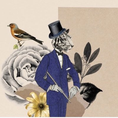 Cryptotyga tweet media