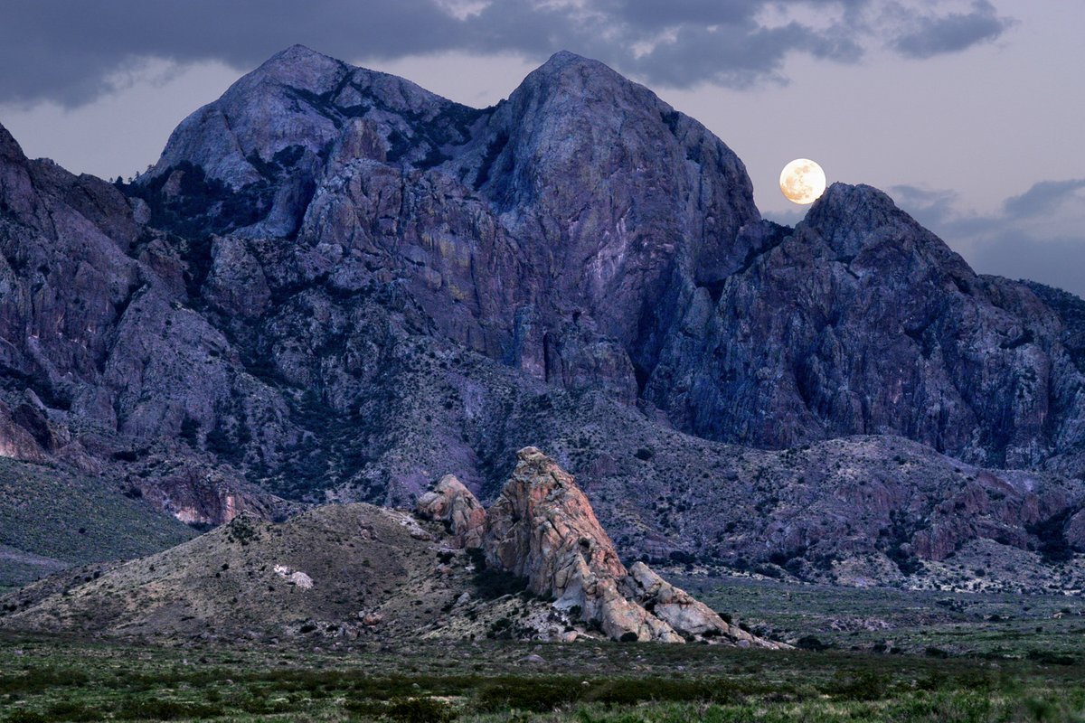BLMNewMexico's tweet photo. On the eighth day of BLM, Seymour gave to me: eight BLM movies!
Cozy up in a home theater with movies filmed on BLM NM lands! Cue up Terminator Salvation, Natural Born Killers, Wild Hogs, Due Date, Cowboys and Aliens, 3:10 to Yuma, The Missing, and City Slickers.
#12DaysofBLM https://t.co/A8Wx7XsVEq