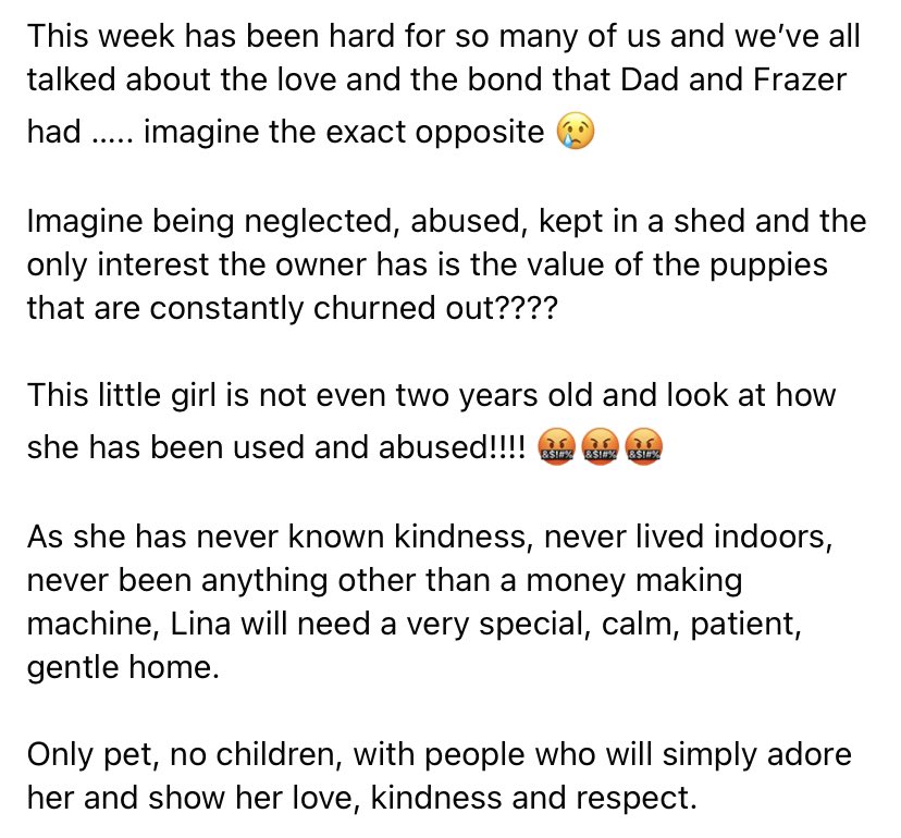 NWDogRescue's tweet photo. Please can you help? She’s been used, abused, neglected, over-bred and had no life whatsoever. The only interest they had was the value of her puppies, she’s never been inside or known a kind hand 😢 Kent. https://t.co/PRbVK3vc8n https://t.co/8wyMKOXRAA