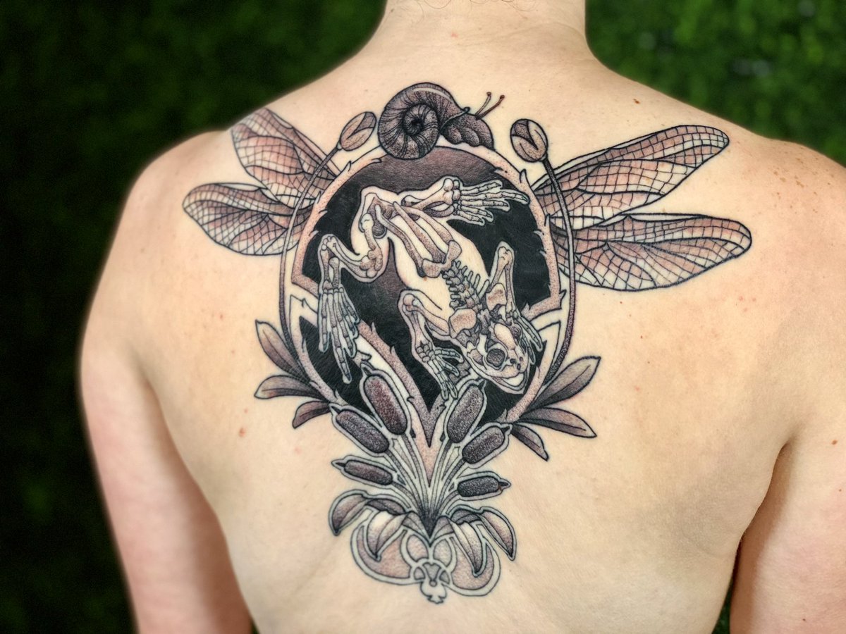 Grascen Shidemantle (she/her) tweet media