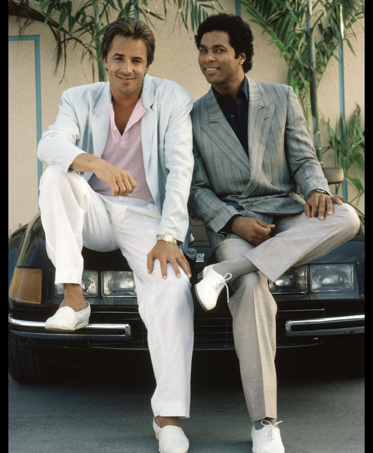 FG16lMSX0AA6AjS.jpg:large