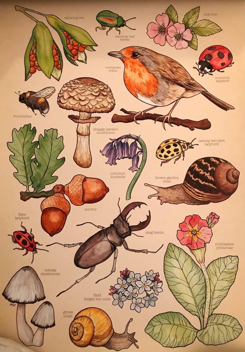 HelenEd96948512's tweet photo. My secret Santa did amazing with this print for my bedroom! 🎄😍🐞🐌🌷 https://t.co/2WCsZ1pA3Z