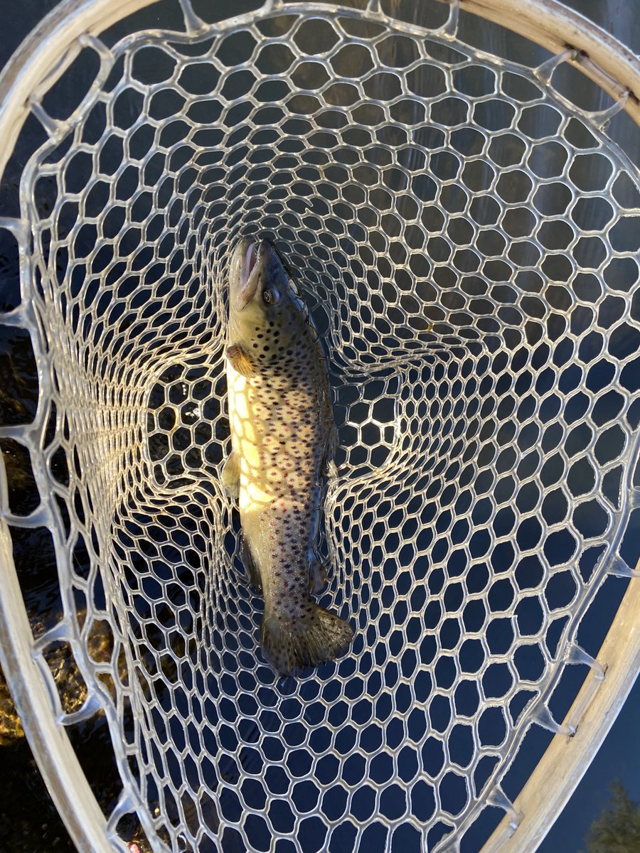 AtheistStreet's tweet photo. Take a kid fishing. It’ll change their world and yours. In #Maine you can get your child a lifetime fishing/hunting license….because creating lifelong stewards of our woods and waters matters. 🎣 #Fishing #FlyFishing #Trout #Salmon #RiverDogs #LeadCoreGang #CastingForKids https://t.co/l1rdK3Jy8n