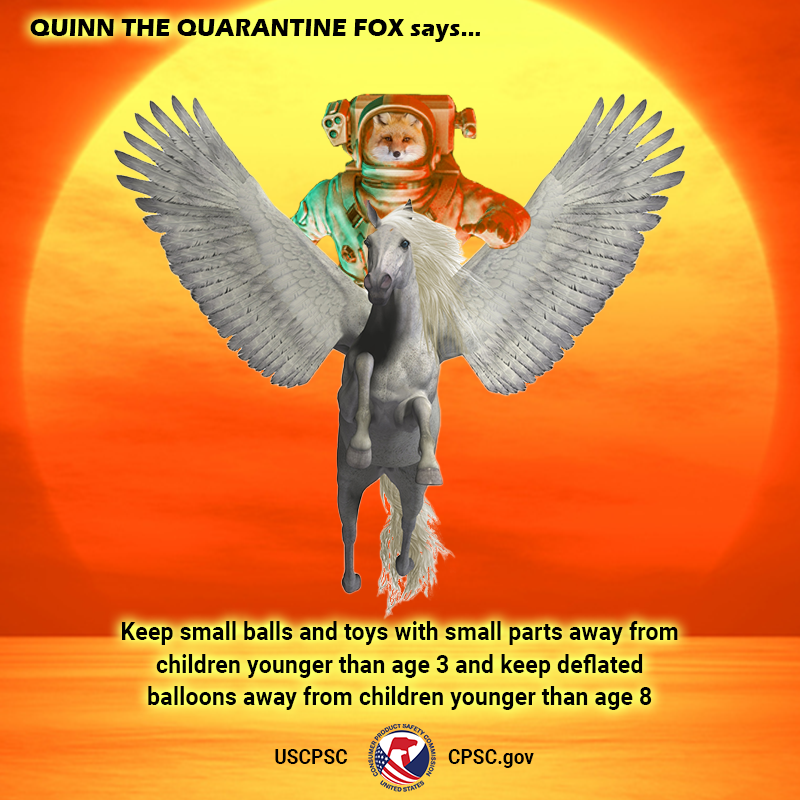 USCPSC's tweet photo. #QuinnTheQuarantineFox https://t.co/z2YISW2Zx5