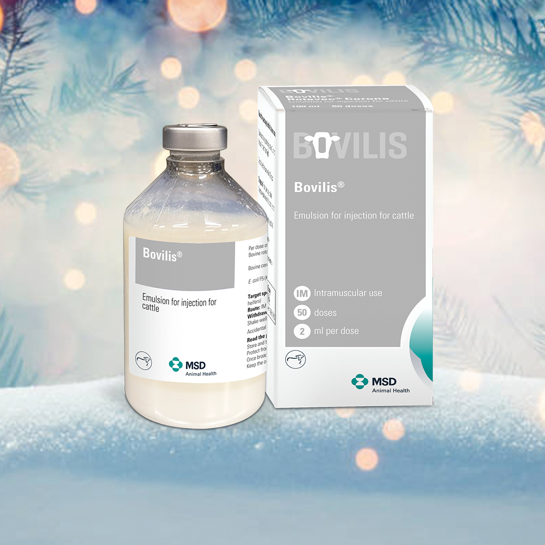 MSD Animal Health - Livestock tweet media