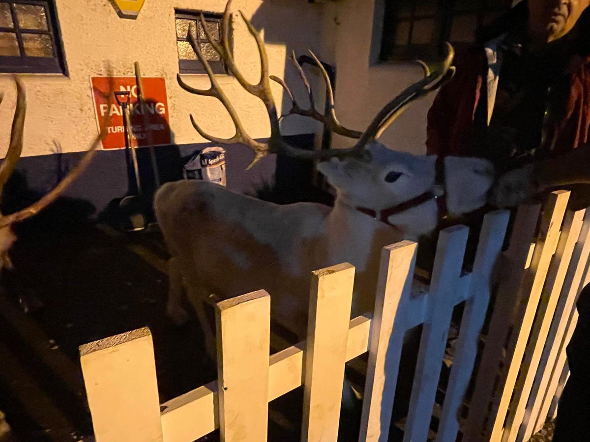 Wellside tweet media