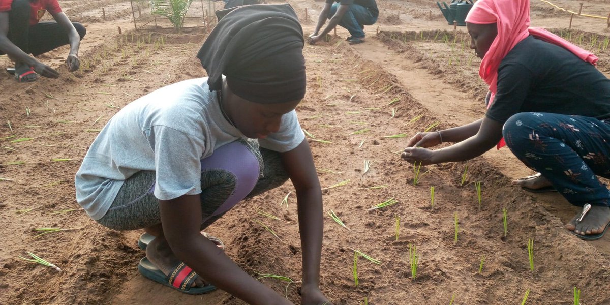 LTAgricole's tweet photo. La femme occupe une place très importante dans l'agriculture.
#Repiquage
Étudiants BTS https://t.co/G81lpZIuam