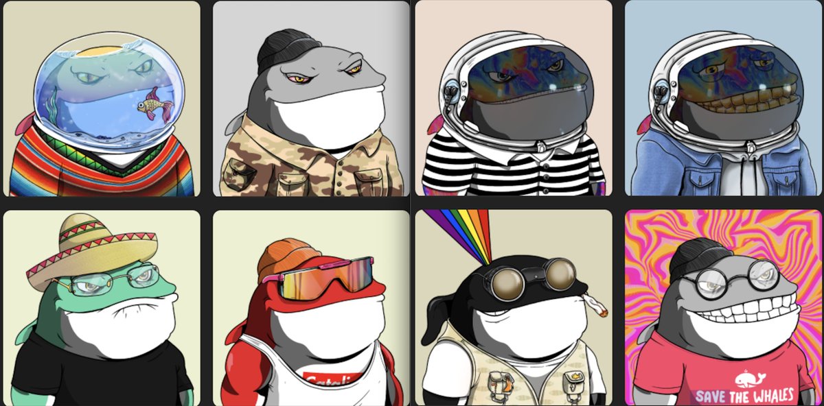 robbystempler's tweet image. 🐳🐋 🐳🐋 @catalinawhales