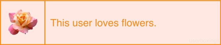 lilsuniebunni's tweet photo. headers~✨ https://t.co/pKVOj2Q7We