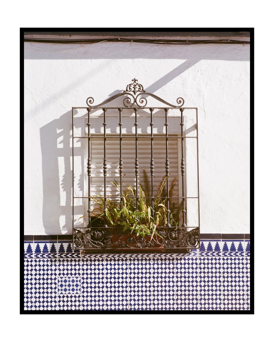 PeachSnaps5's tweet photo. Windowsill

📸 = Mamiya RB67 Pro S
🎞️ = Portra 400 https://t.co/JbWDYaCr8C