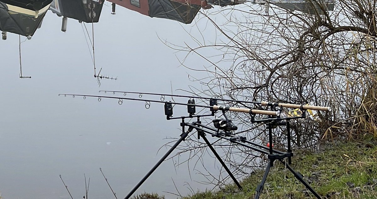 Andy Webster 🇬🇧🇬🇧🇬🇧🇬🇧 tweet media