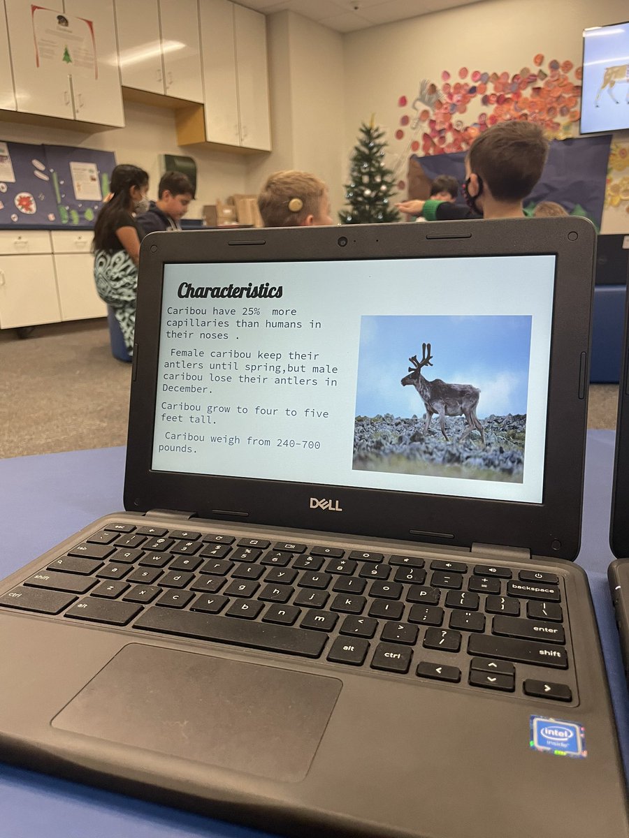 IvicicMelissa's tweet photo. Got to listen to Dr. F’s students present their research projects on caribou. They taught some little @Buda_Bulldogs and it was awesome. Glad I got to watch this amazingness to end 2021! #BEStinfluencers @MelissaEnglish @emherrin @MeganZembik https://t.co/hiBxsMTiY9