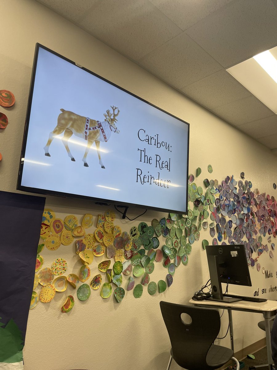 IvicicMelissa's tweet photo. Got to listen to Dr. F’s students present their research projects on caribou. They taught some little @Buda_Bulldogs and it was awesome. Glad I got to watch this amazingness to end 2021! #BEStinfluencers @MelissaEnglish @emherrin @MeganZembik https://t.co/hiBxsMTiY9