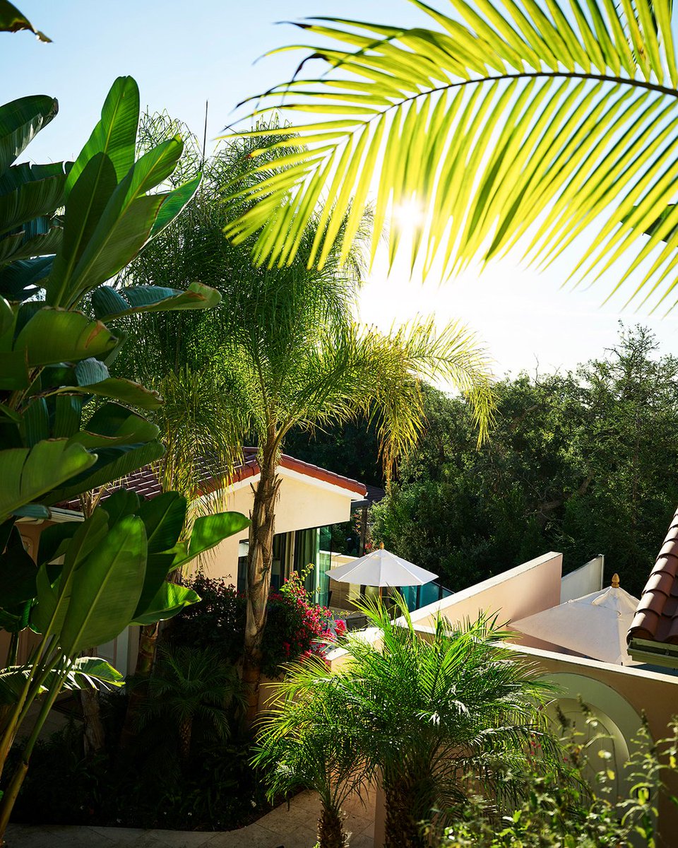 Another beautiful morning in Bel-Air. 🌿