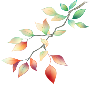 Nature Reviews Cancer tweet media