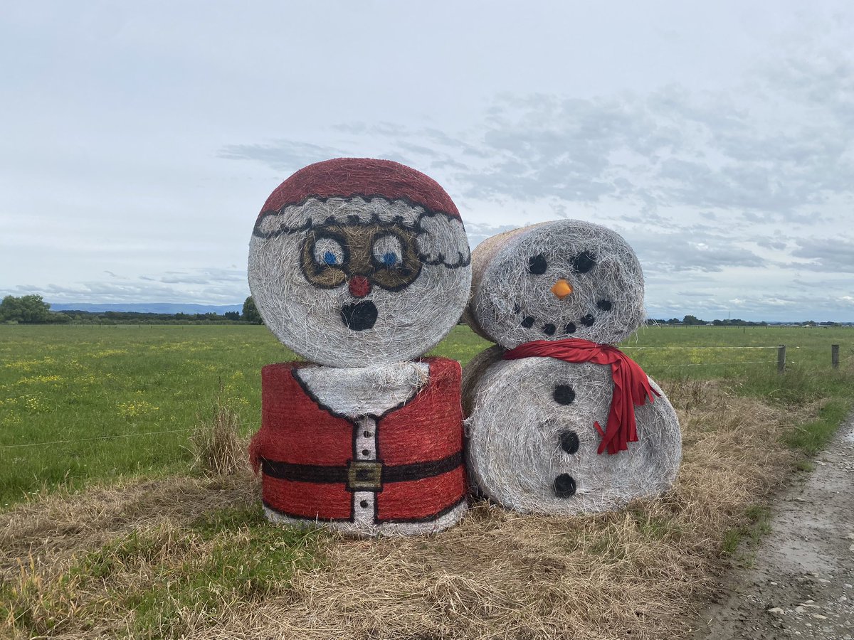 LeanFarm tweet media