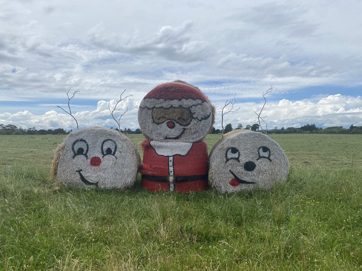 I was meaning to post this weeks ago! One of our team members’ partners came up with this idea and then our team executed it! It has been spreading Christmas cheer to everyone driving passed during December. 🎅🎅 #theleanfarmproject #christmascheer