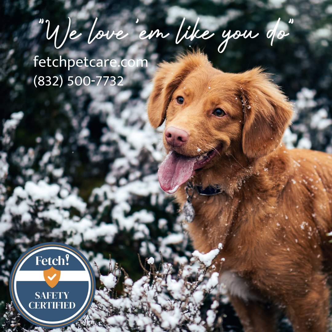 fpcthewoodlands's tweet image. 80% of pet parents give their dogs holiday presents, so this holiday season why not give the gift that won't fit in a box?! A #dogwalk with a Fetch! Safety Certified staff member is the perfect way to tell your pup you love 'em. #weloveemlikeyoudo #petpresent #dogs #petsitter