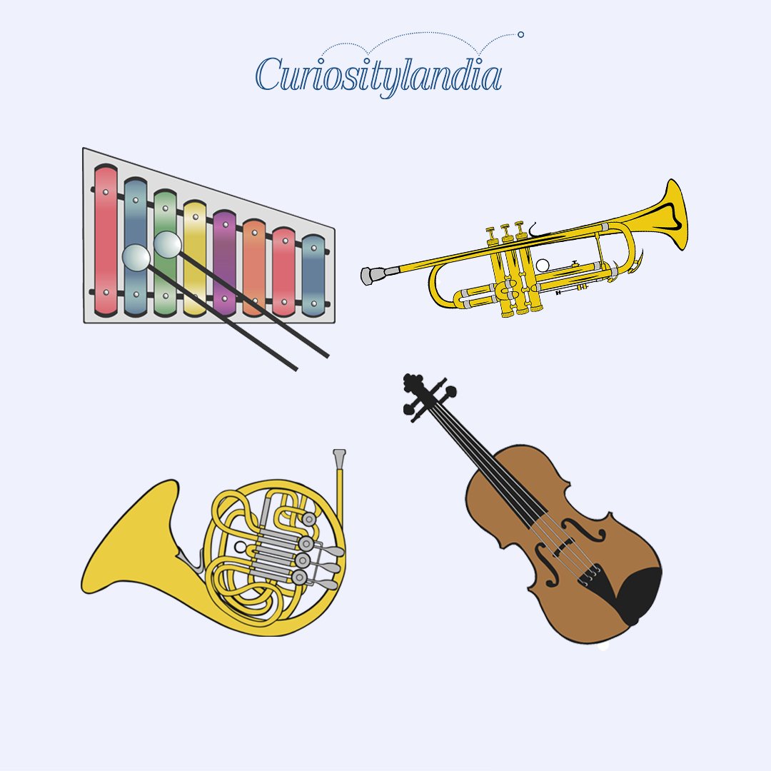 Learning to play an instrument has numerous benefits for kids. Some of the cognitive benefits include increased brain connectivity and improved memory.

#music #musicforkids #playingmusic #musicbenefits #musiceducation #cognitivedevelopment  #memoryskills #learningmusic