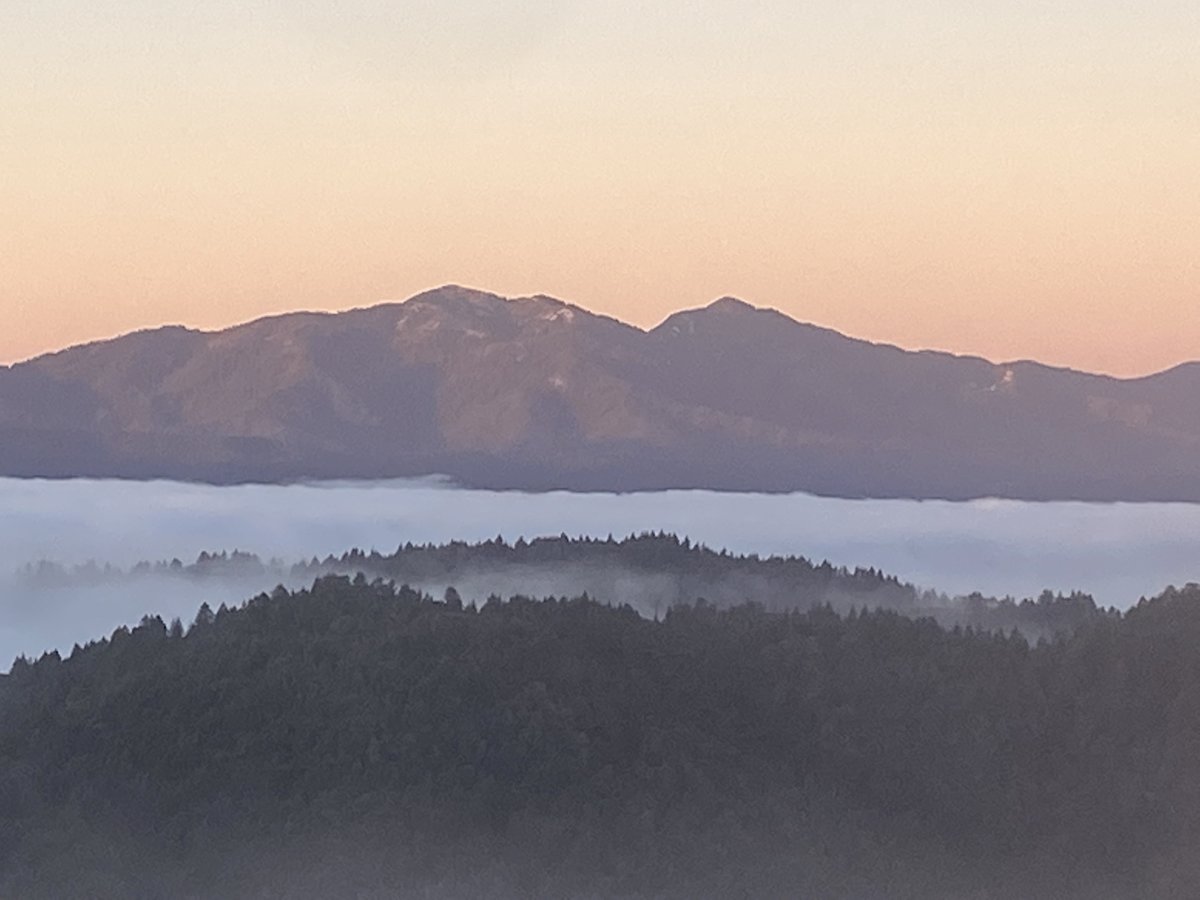 SoHum_FOLC's tweet photo. Sign up for FOLC's seasonal newsletter before the end of this weekend to receive our latest winter edition! It'll feature a look back at what we've accomplished in the past year, while looking ahead to exciting activities and programs to come in 2022. 
https://t.co/iVGKqRGPJI https://t.co/ZaGnolBRzO