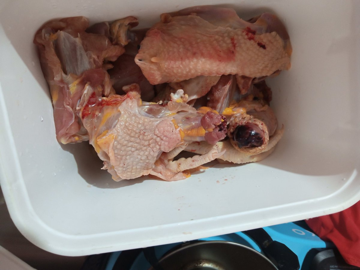 Chicken 🐓 Haven-Kenya tweet media