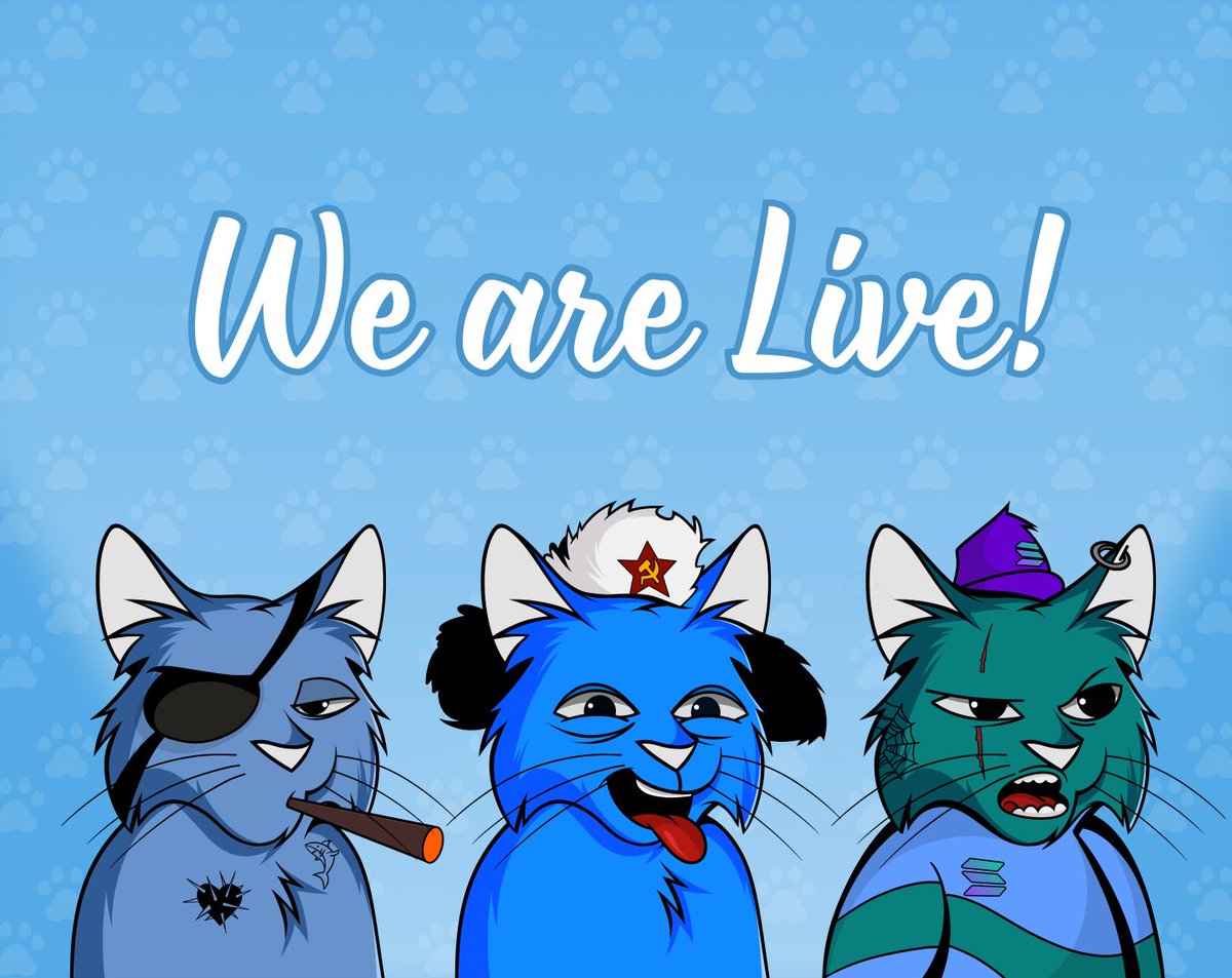 SolKitties_NFT's tweet image. 🔥😼WE ARE LIVE!😼🔥

Now you can mint SolKitties on our website👇💜

solkitties.io

MEOW MEOW MEOW!!!

SolKitties huge Merch announcement and 10 SOL giveaway are coming! LFG!💜🐈‍⬛