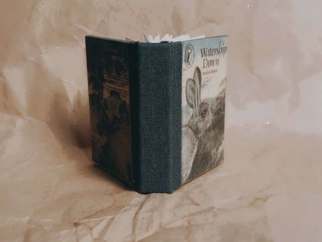 recent minis ✨
#bookarts #minis #minibook #miniatures #bookbinding