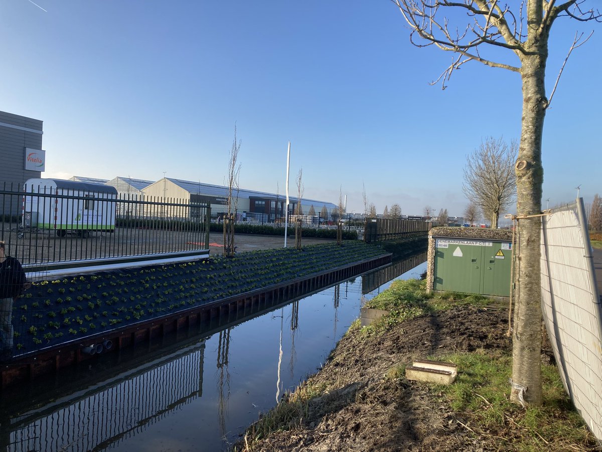 MarcoOlieman's tweet photo. Mooie bedrijfs tuin opgeleverd. Beschoeiing beplanting worteldoek bomen. https://t.co/uc0Yg0rnpc