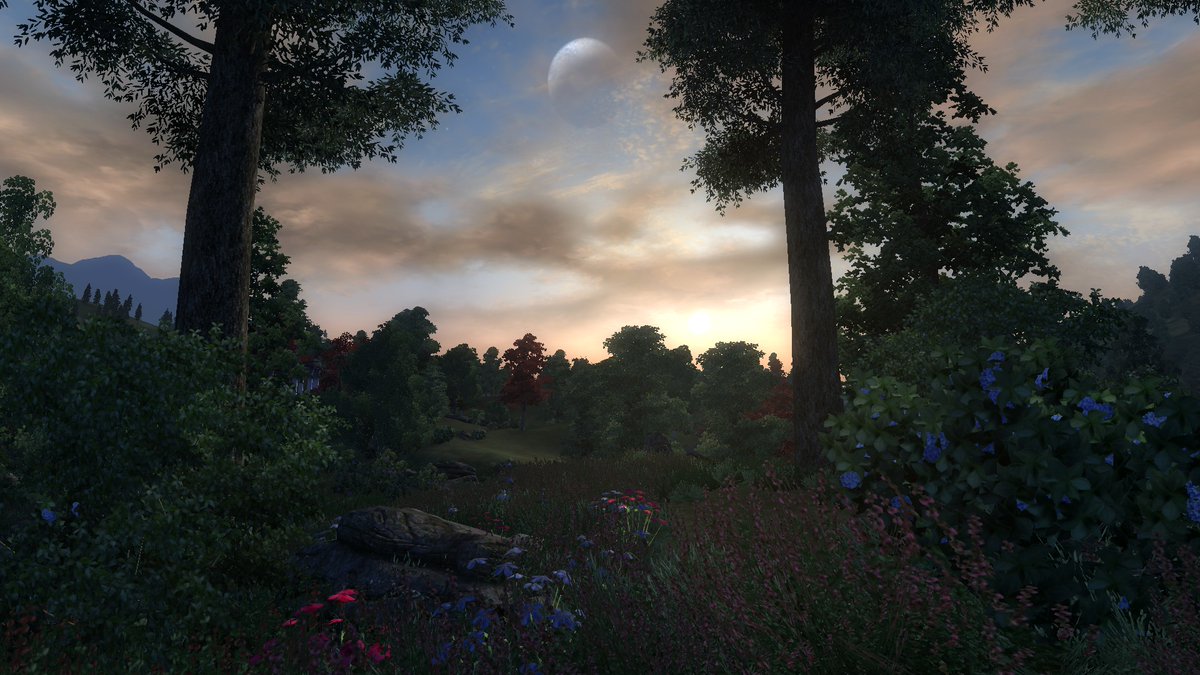LightTheViking's tweet photo. [🔴LIVE now]

1-Life Elder Scrolls 4: Oblivion challenge continues with the Imperial Knight! Doing the fighters guild with no fast travel!

https://t.co/7LyHleLXoT https://t.co/1Ur6DSEPnz