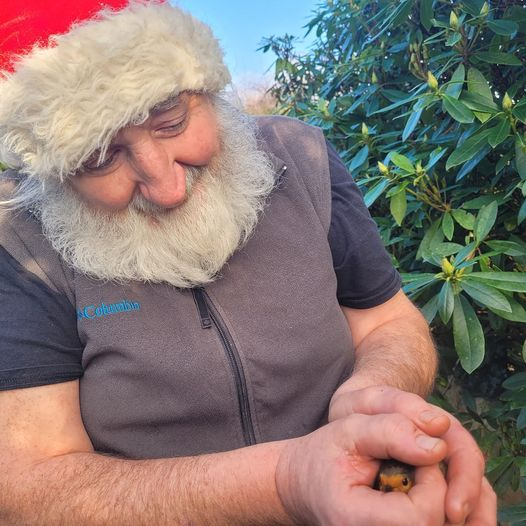 You can take the man out of the veterinary clinic,  but you can't take the vet out of the man ....
Here's Cillian releasing an injured Robin - we're happy to report he's made a full recovery.
Now that calls for a celebratory glass of #Mescan
