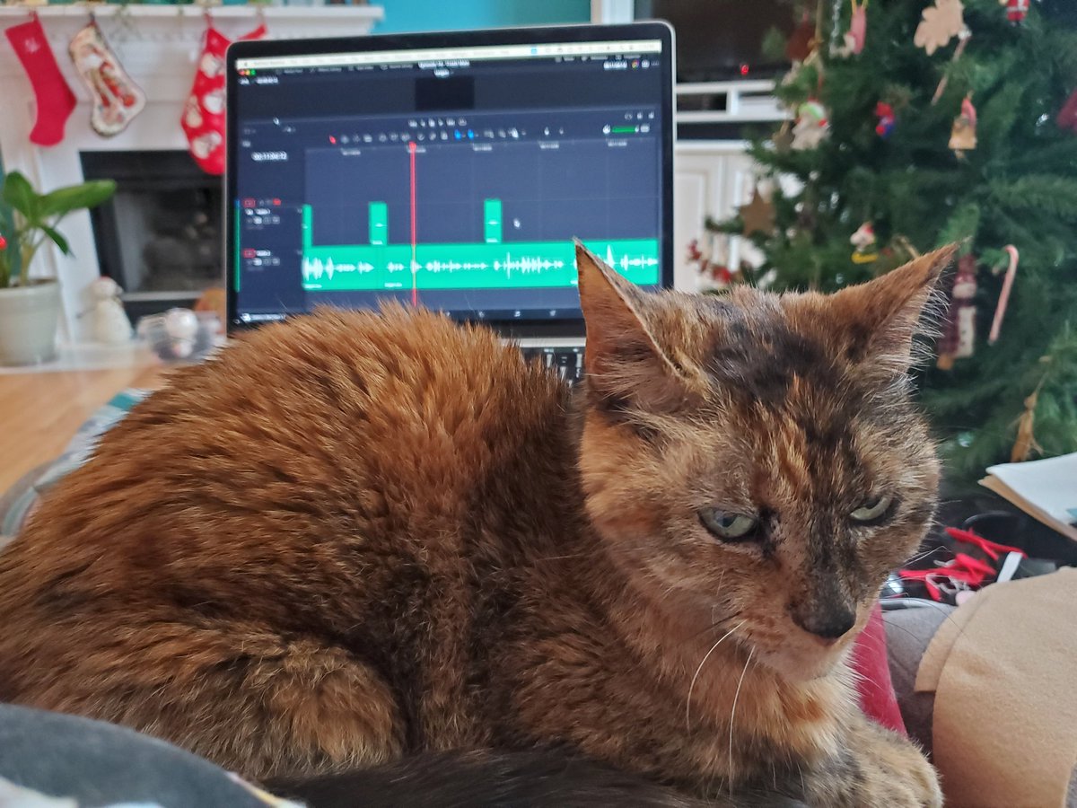 Sneakers! A Podcast About a Podcast tweet media