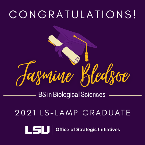 LSU Strategic Initiatives of the Graduate School tweet media