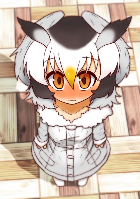 #2021年自分が選ぶ今年の4枚 