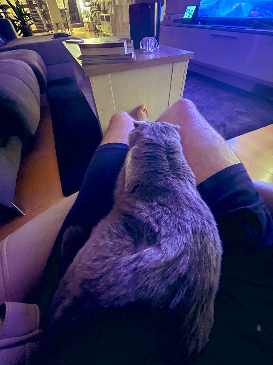 vegetta777's tweet photo. Pues aquí de relax con kirilla https://t.co/gCkc711fxa