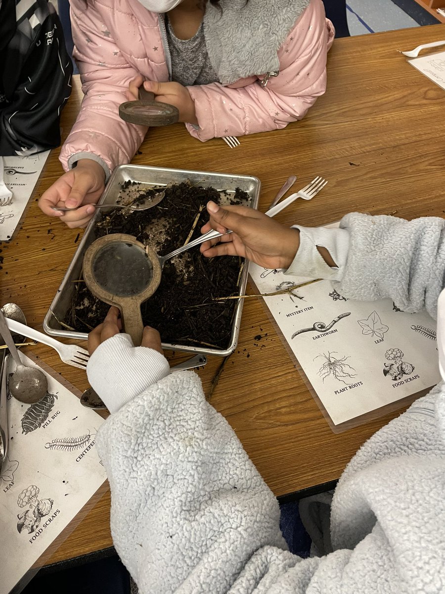 Digging through dirt today during farm to school. #cbsbest #trustyhuskies