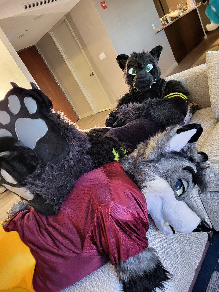 KyashKT's tweet photo. Cats make good headrests. 🐈
Wolves make good footrests. 🐺

#FursuitFriday #MFF2021
📸: @slatecollie https://t.co/ccLbCXx8Pi