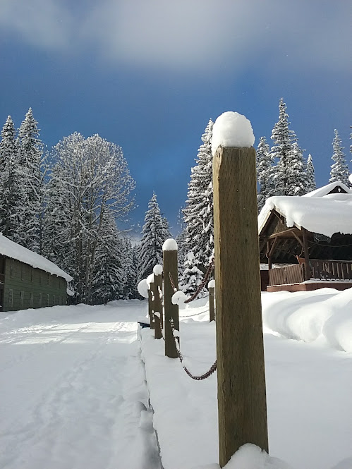 141Chelan's tweet photo. Have you seen blue fog? The only time I have experienced it was in the North Cascades. I wonder if it is common in other places as well.
#bluefog #wawx #weather #snow #winter https://t.co/9UbJwlJn24