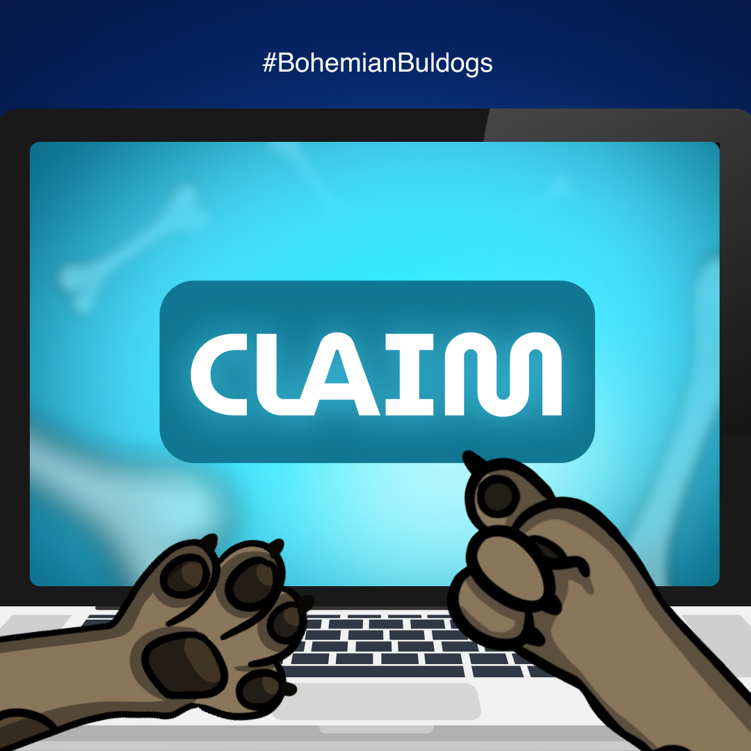 BohemianBullDogs tweet media