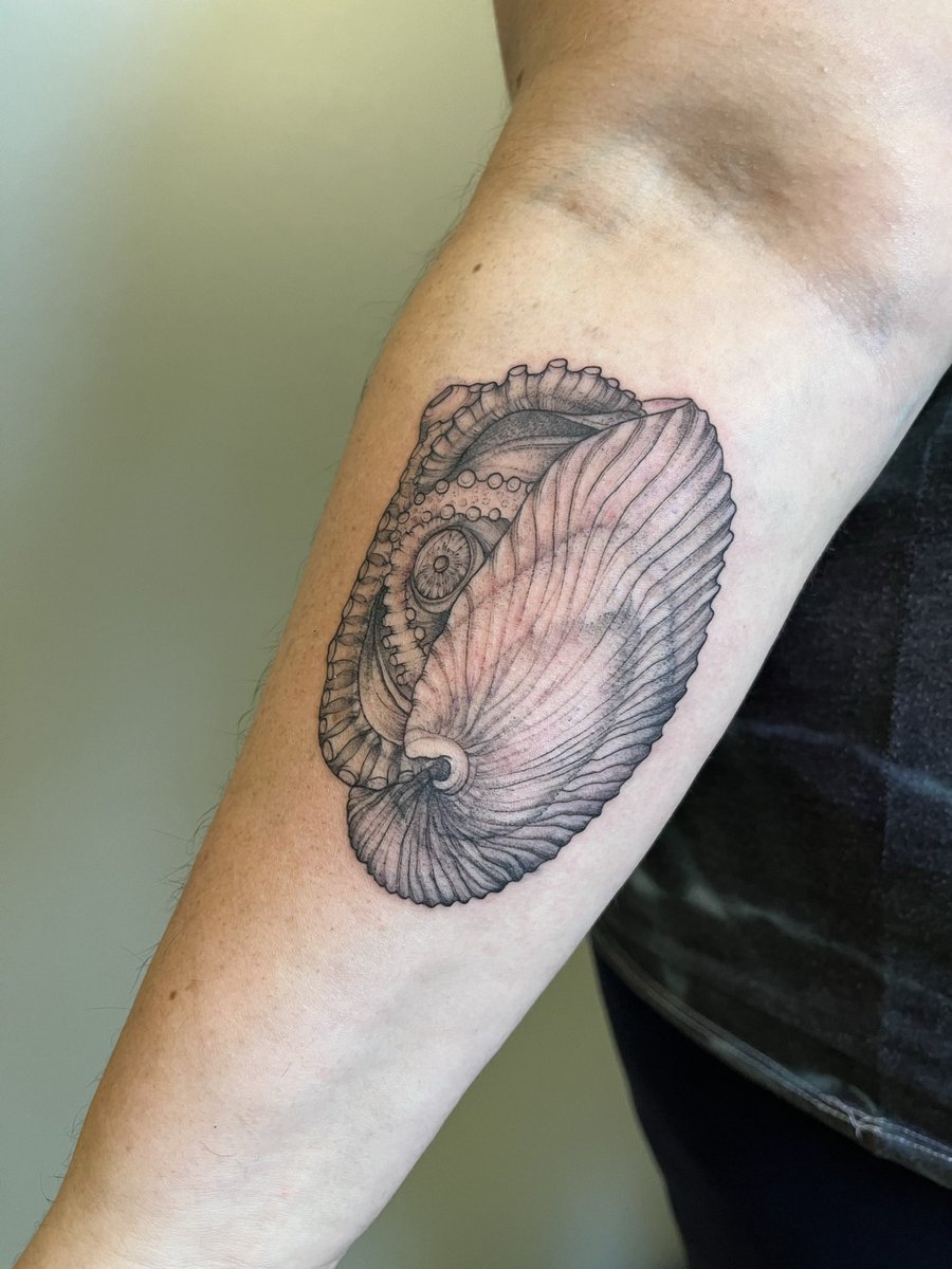 SARWINTERS's tweet photo. ✅ the male donates an entire arm (specialized) with sperm to fertilize the eggs, and 
✅ the make is smaller than the female … by a lot. 

There you have it. And here it is! Courtesy of the amazing Drae at Brilliance Tattoo in Jamaica Plain, Boston #oceantattoo #inked #oceanink https://t.co/QDe3aQNIOQ