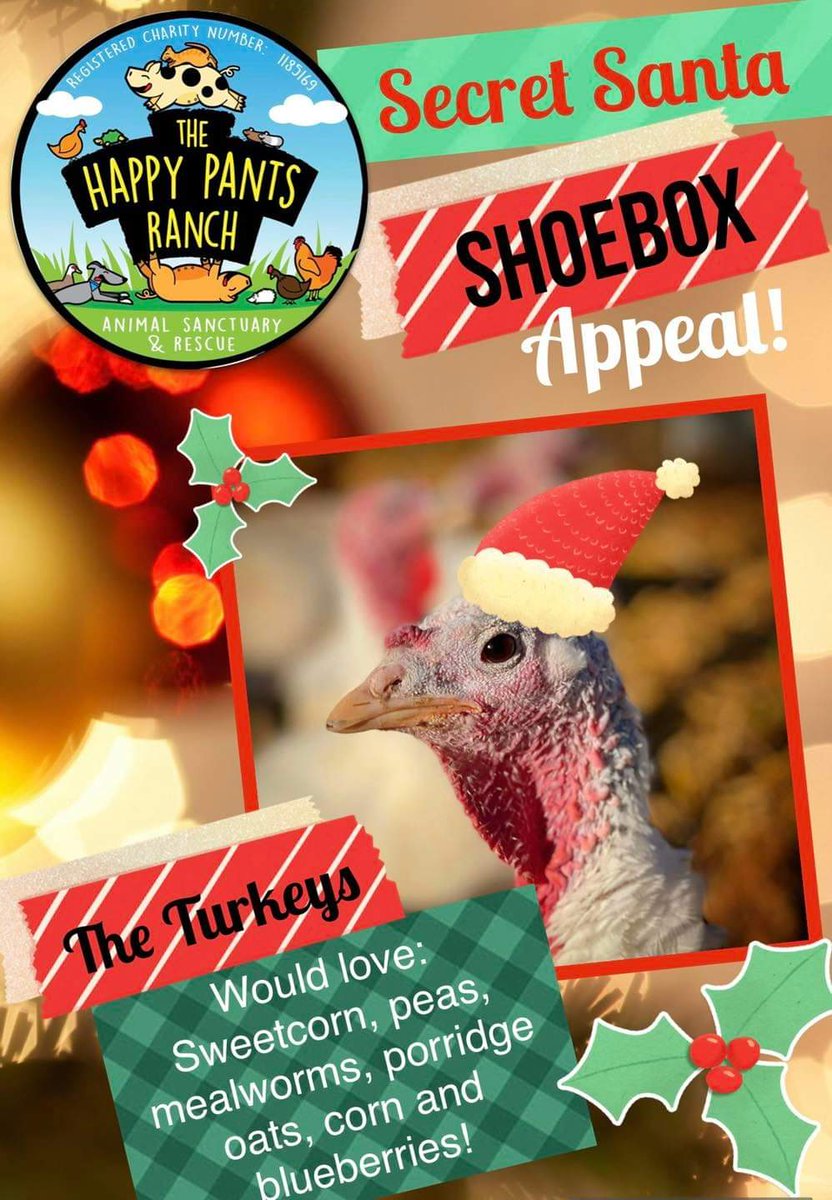 🎄 It’s No 10 of The Ranch Secret Santa Shoebox appeal and today the turkeys are showing you what’s on their Christmas list! 🎄