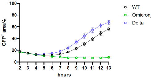 Interesting further evidence of possible reason behind omicron's alleged lower severity than delta 2 FG1b9tCX0AMWXiq
