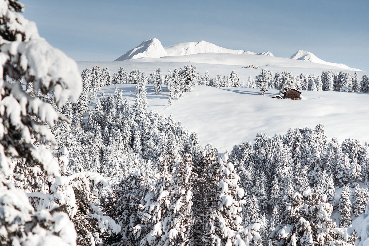 白銀の世界へ❄ @italia from @altoadige_info 😘