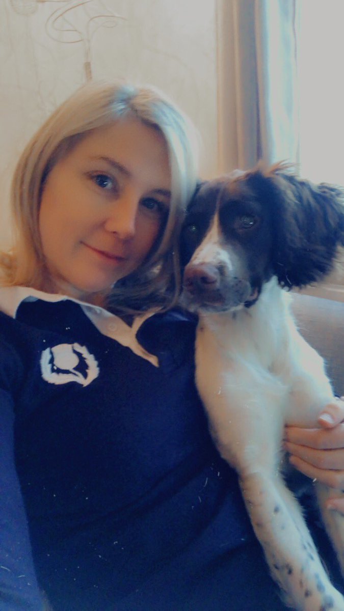 shona_birkby's tweet photo. When it’s bring your human to work day now it’s WFH and the human won’t leave the puppy alone! ♥️🤍♥️ #workingfromhome #bringyourhumantowork #bringyourpuppytowork #spaniellove #itsokmumivegotthis https://t.co/uZE6EfZcdx