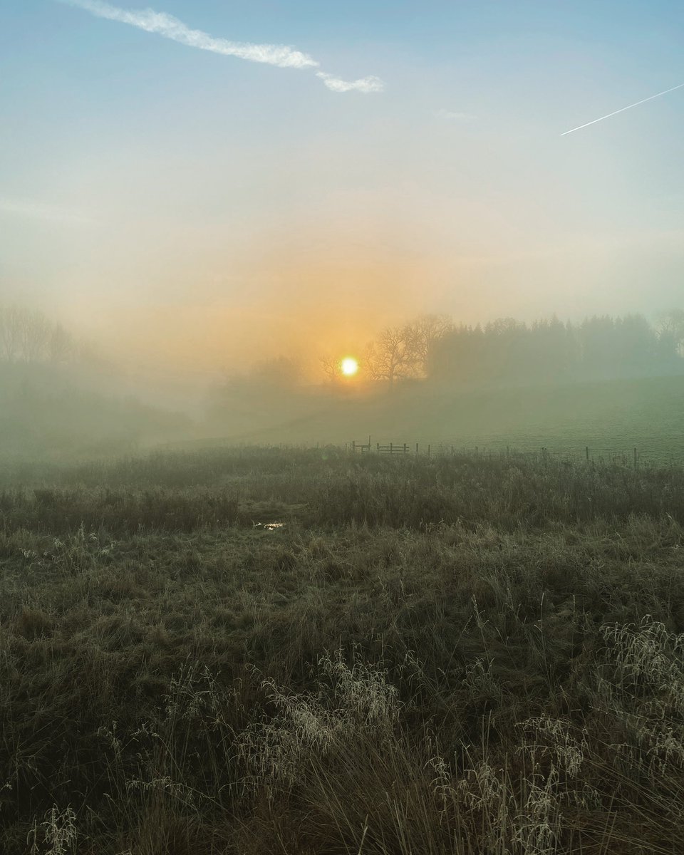 Misty morning …..
