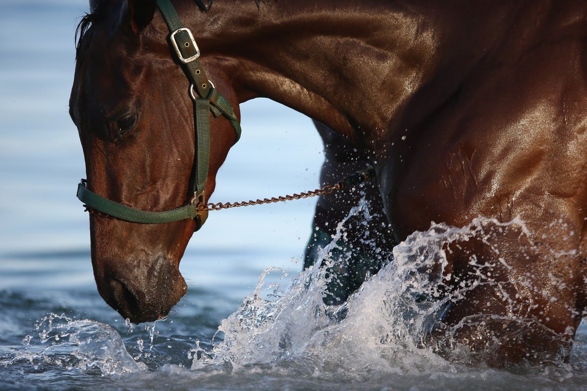 "انعدمت طاقتي في تحمل أي شيء، لقد نفد كل شيء لدي يارب قــونــي .